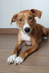 Zelda D200898