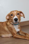 Zelda D200898