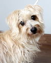 Abigail Ragsdale D200911