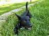 Avery D201228