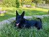 Avery D201228