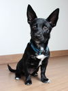 Avery D201228