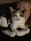Daisy C200427