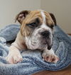 Nini *SPECIAL NEEDS* D201460