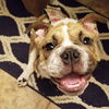 Nini *SPECIAL NEEDS* D201460
