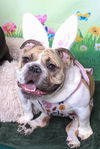 Nini *SPECIAL NEEDS* D201460