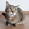 Baby Girl C210056