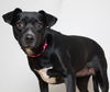Molly D221350