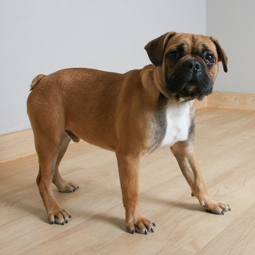 Matheo D221651
