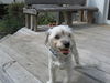 Gabby