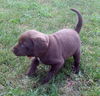 Abby