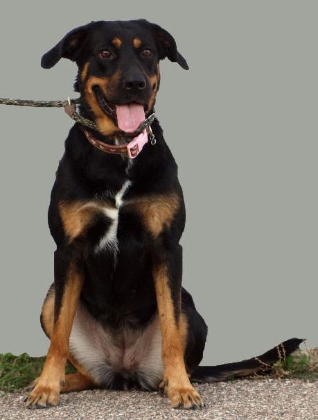 Kahlua  