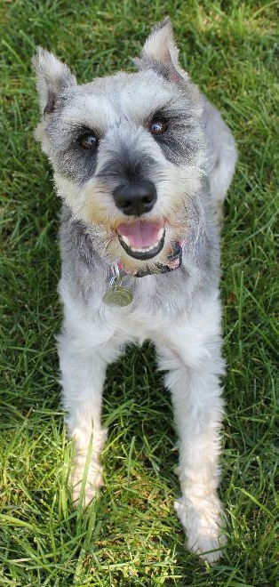 Babette (Bette) D120809