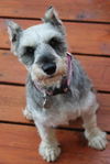 Babette (Bette) D120809