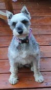 Babette (Bette) D120809