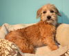 Babette-2