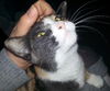 Callie C130059