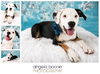 Callie D130637