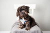 Tuffy D130891