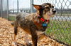 Nala D140414