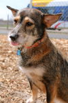 Nala D140414