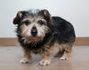 Patches (& Frida *Bonded Pair*) D140505