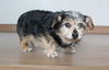 Patches (& Frida *Bonded Pair*) D140505