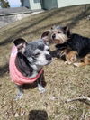 Patches (& Frida *Bonded Pair*) D140505