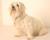 Bailey D150528