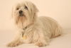 Bailey D150528
