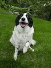 Bailey D150943