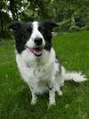 Bailey D150943
