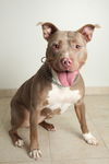 Daisy D151478