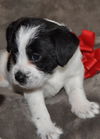 Baby Luma D151631