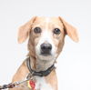 Baby *Tripod* D160649