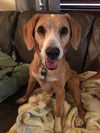 Baby *Tripod* D160649