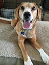 Baby *Tripod* D160649