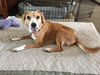 Baby *Tripod* D160649