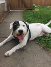 Abbey D160679