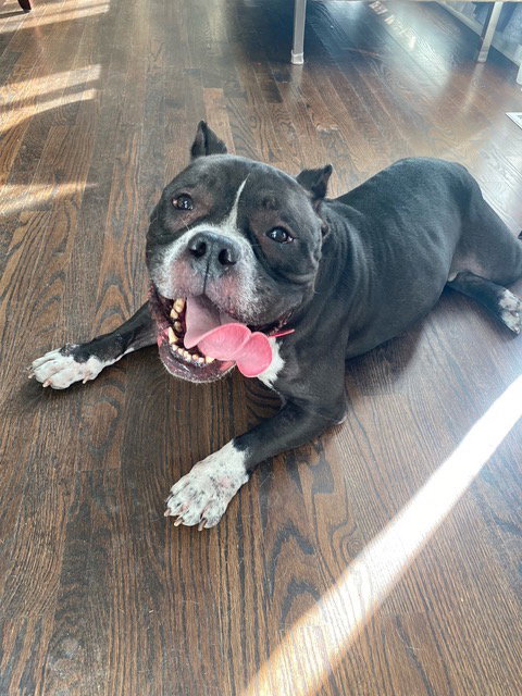 Spanky