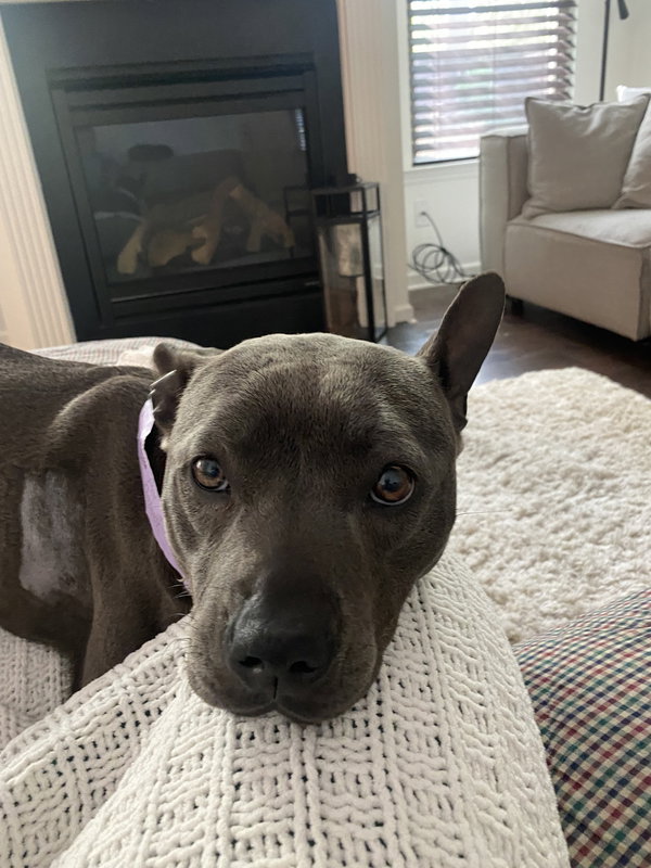 Suki