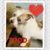 Todd - Photo 2