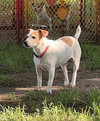 Rocket * - Photo 4