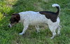 Jane Doe * - Photo 4