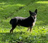 George* + - Photo 2
