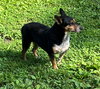 George* + - Photo 3