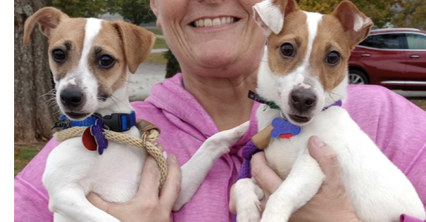 adoptable Dog in Columbia, TN named Squirrel and (Chipmunk )*