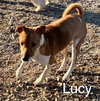 Lucie* - Photo 3
