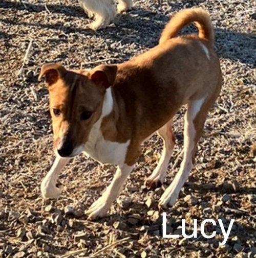 Lucie* — thumbnail 6