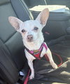 Mable(Mabeline)~ - Photo 2